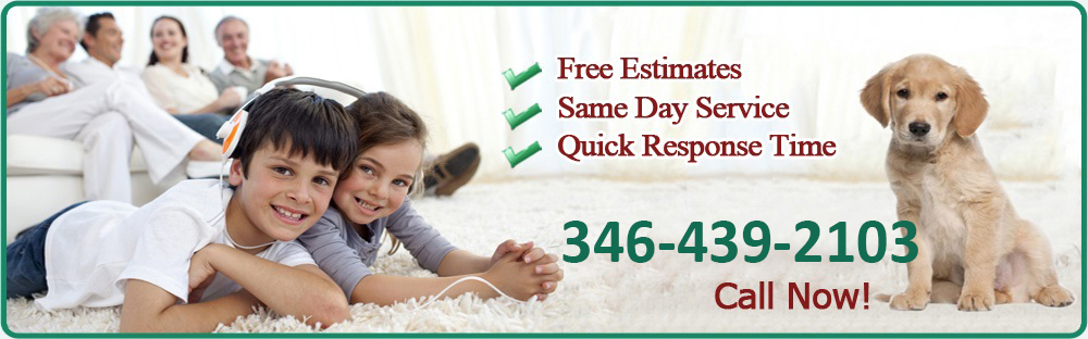 pet stain removal