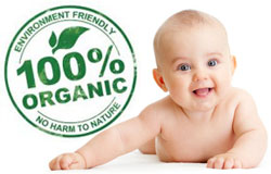eco friendly cleaners