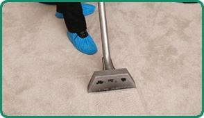 steam carpet cleaners